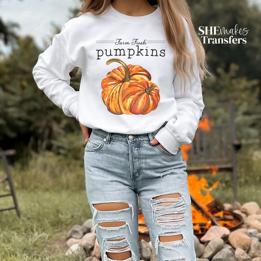 Farm Fresh Pumpkins basic